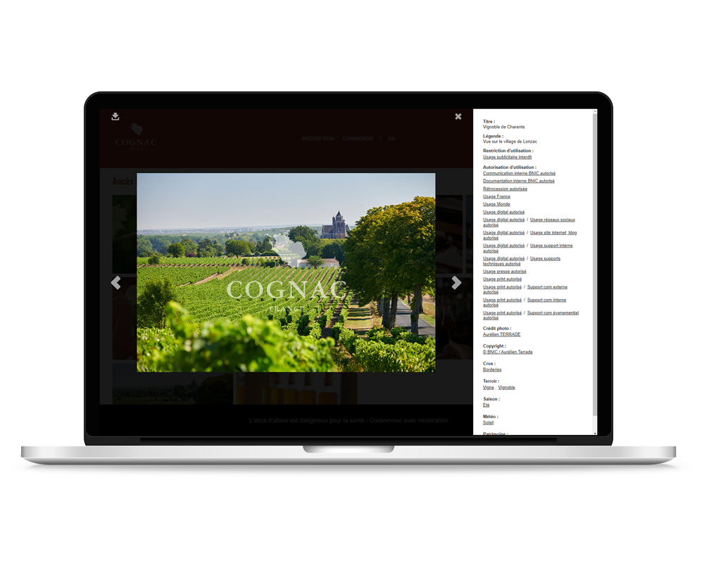 Fiche d'indexation de la solution photothèque du BNIC (Cognac)